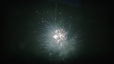 #15108 盆花1.2 36发数