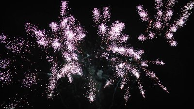 #15120 盆花1.2 138发数