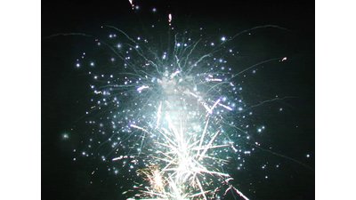 #15121 盆花1.2 150发数