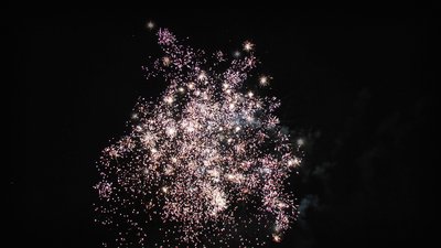 #15183 盆花1.0 36发数