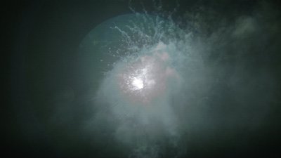 #15195 盆花1.2 25发数