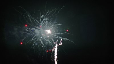 #15209 盆花1.2 100发数