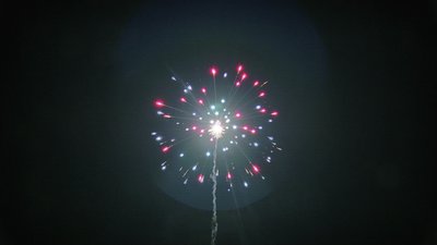 #15322 Module Cakes 1.2 25 shots