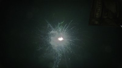 #15244 盆花1.0 16发数