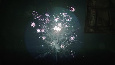 #15240 盆花1.0 16发数