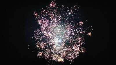 #15235 盆花0.8 25发数