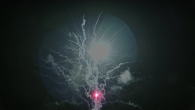 #15284 盆花1.2 100发数