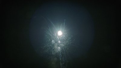 #15276 盆花1.2 36发数