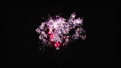 #15334 Compact 0.8 10 coups