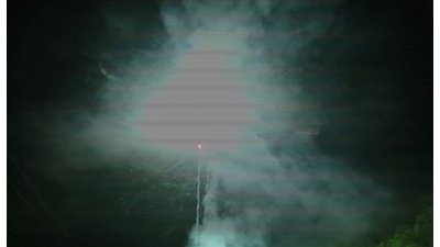 #15339 盆花1.2 100发数