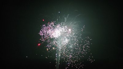 #15348 盆花1.0 25发数