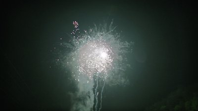 #15350 盆花1.0 49发数