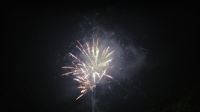 #15377 盆花15x0.8"/35x1.2" 50发数