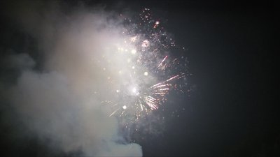 #15408 盆花1.2 100发数