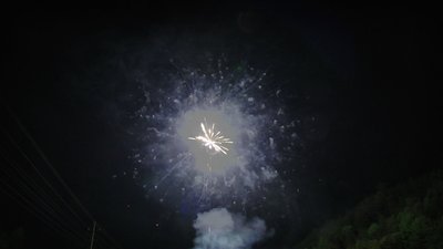 #15362 盆花1.0 100发数