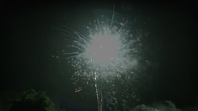 #15556 盆花1.0 25发数