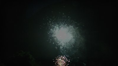 #15558 Tortas 0.8 36 tiros