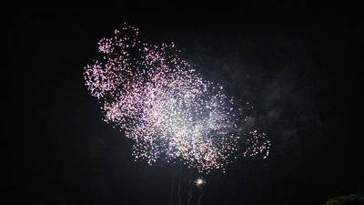 #15567 Bombetas 1.0 49 tiros