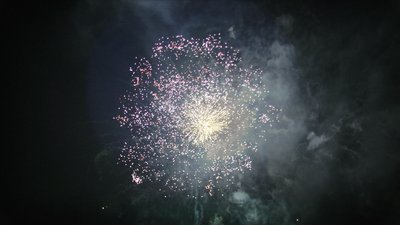 #15575 盆花1.2 25发数