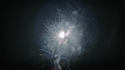 #15584 盆花1.2 49发数