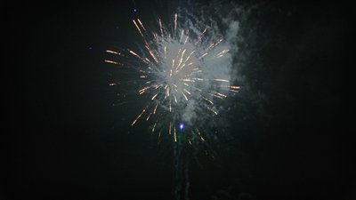 #15583 盆花1.2 49发数