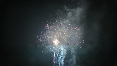 #15587 盆花1.2 70发数