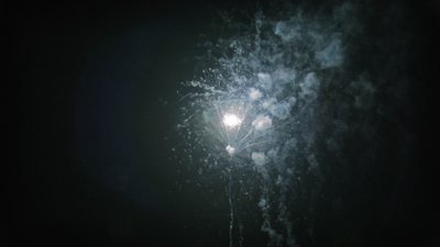 #15579 盆花1.2 36发数