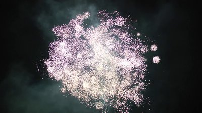 #15601 Tortas 1.0 100 tiros