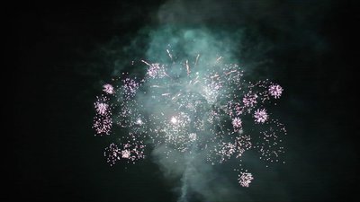 #15603 盆花1.2 100发数