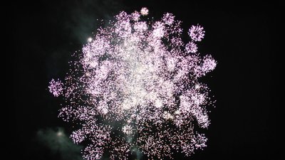 #15600 盆花1.0 49发数