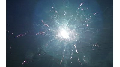 #15645 盆花1.2 100发数