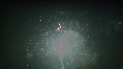 #15647 盆花15x0.8"/35x1.2" 50发数