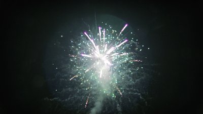 #15121 盆花1.2 150发数