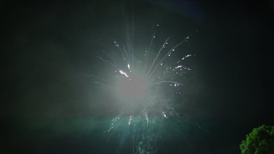 #15699 Module Cakes 1.0 36 shots