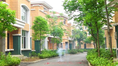 #14524 Tortas 0.3 50 tiros