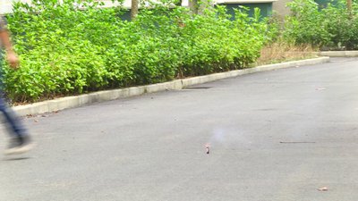 #6175 Petardos Flowers Blossom whis BANG!