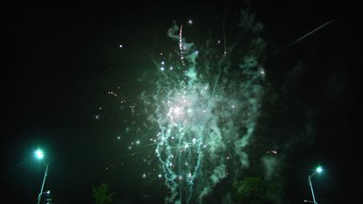 #14502 Module 盆花0.6 50发数