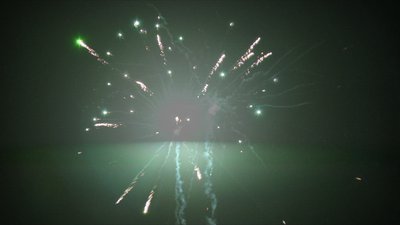 #14501 Module 盆花0.6 50发数