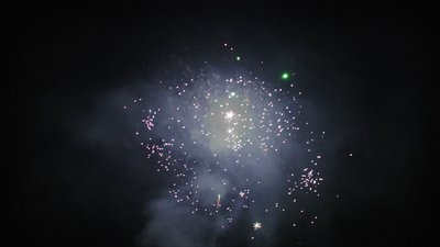 #7685 Compact 0.8 49 coups