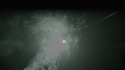 #14396 Module Cakes 1.1 24 shots