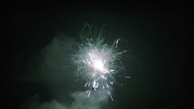 #15713 盆花0.8 36发数