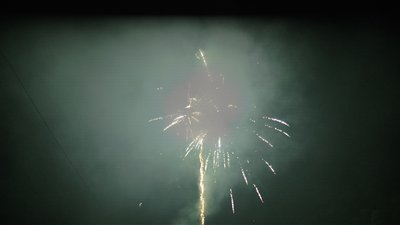 #15721 盆花0.8 100发数