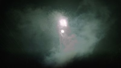 #15715 盆花1.0 50发数