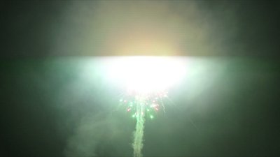 #15737 盆花1.0 16发数