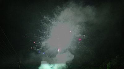 #8209 Module Cakes 1.1 49 shots