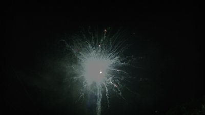 #14401 Module Cakes 1.1 99 shots