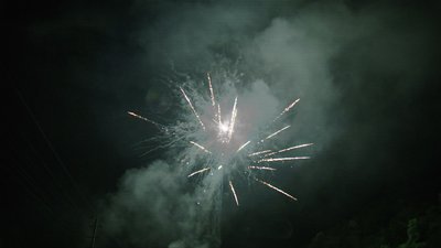 #14281 Module 盆花1.1 20发数