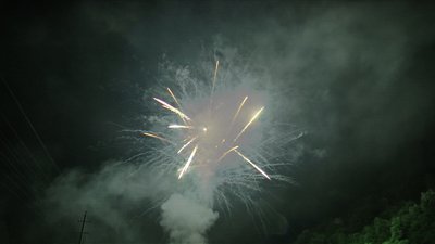 #14396 Module Cakes 1.1 24 shots