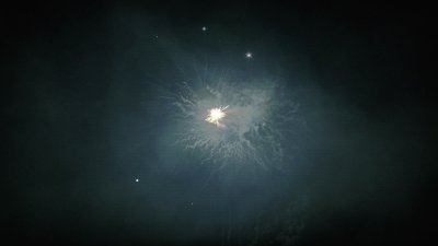 #14449 Module 盆花1.0 100发数