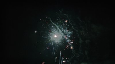 #14449 Module 盆花1.0 100发数